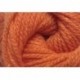 Charity dk - 098 Citrus