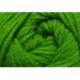Charity dk - 149 Tiger lime
