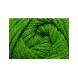 Charity dk - 149 Tiger lime