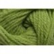 Charity dk - 061 Soft Lime