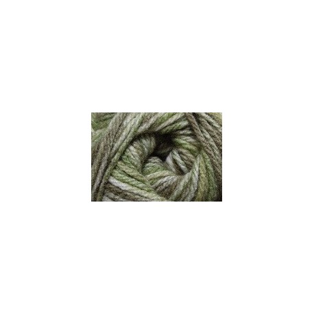 Charity dk - 223 Sedge green