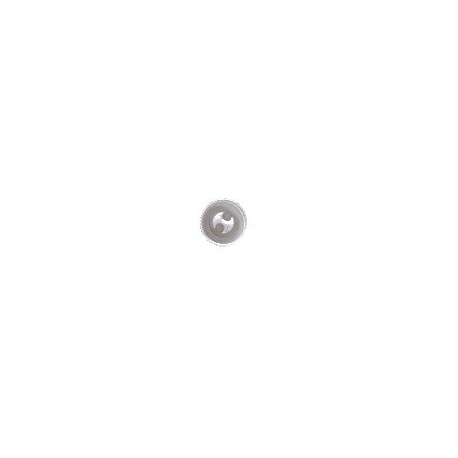 Shirt button 2 hole - 200 clear