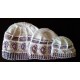 Drops of Jupiter beanie