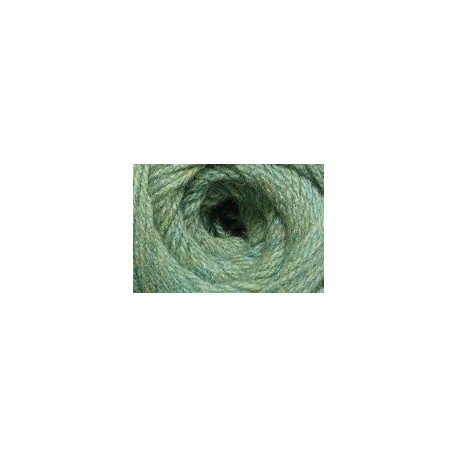 Charity dk 300g - 716 avocado