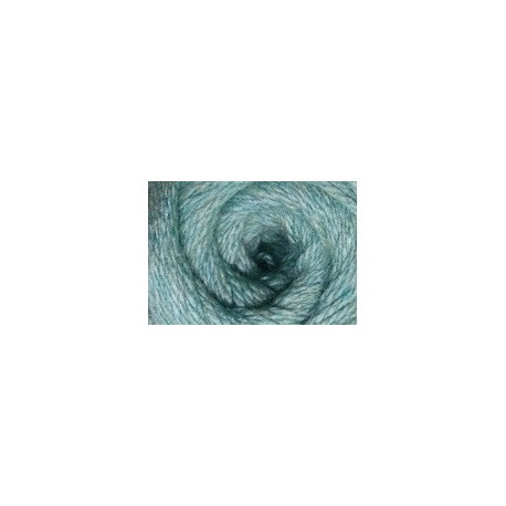 Charity dk 300g - 726 Arsenic