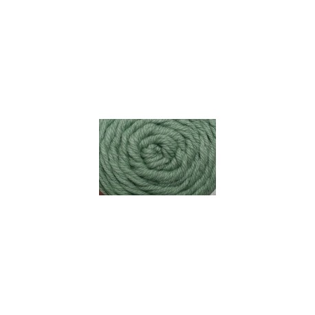 Cottons DK - 074 moss