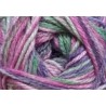 Charity DK - 253 plum tree