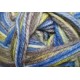 Charity DK - yellowtail snapper