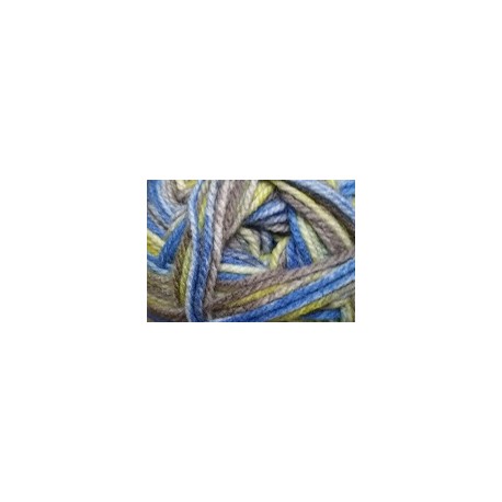 Charity DK - yellowtail snapper