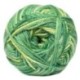 Charity DK - 321 green 'n gold
