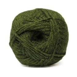 Charity DK - 750 Seaweed